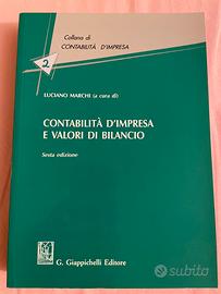 CONTABILITÀ D'IMPRESA E VALORI DI BILANCIO