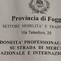 Gestore dei trasporti merci conto terzi