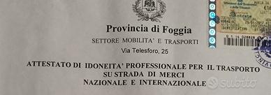 Gestore dei trasporti merci conto terzi