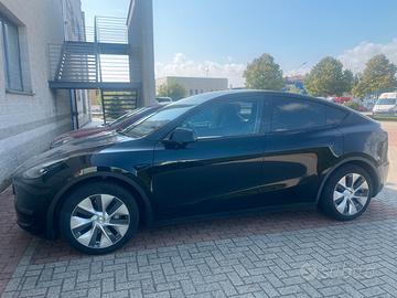 Tesla Model Y Long Renge Dual Motor