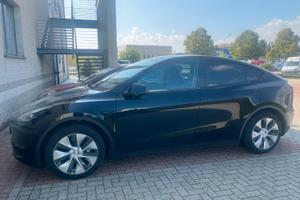 Tesla Model Y Long Renge Dual Motor