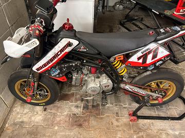 Bucci f6