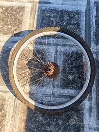 cerchio posteriore bici 24 