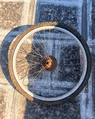 cerchio posteriore bici 24 