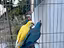 Immagine 1