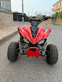 QUAD 110cc