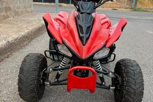 QUAD 110cc