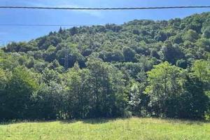 Terreno di 21000 m² a Rezzoaglio