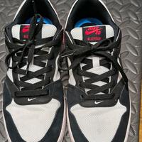scarpe Nike SB TG42