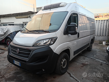Ducato refrigerato