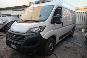 Ducato refrigerato