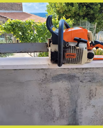 STIHL 029 Super motosega inattiva