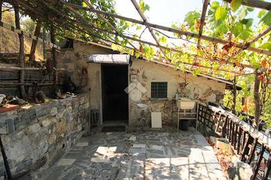 TER. AGRICOLO A TORRACA