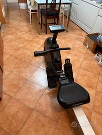 Vogatore schwinn
