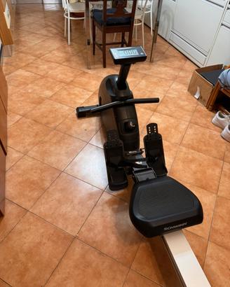 Vogatore schwinn