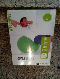 gym ball X wellness