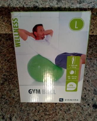 gym ball X wellness