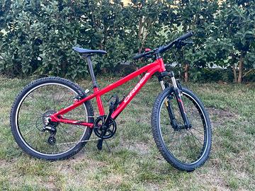 Bici 24 bambino