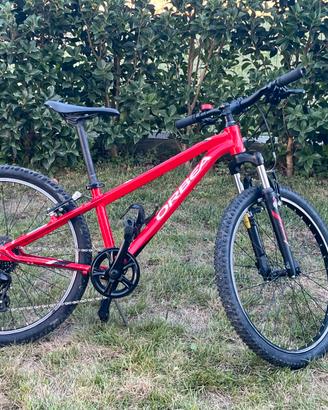 Bici 24 bambino