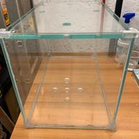 Teca Terrario