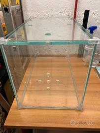 Teca Terrario