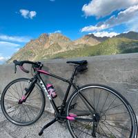 Bici da corsa trek domane al 2