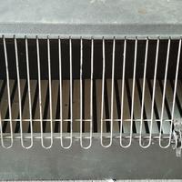 trasporto cani animali