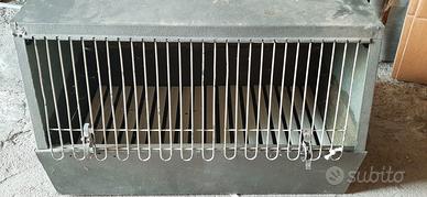 trasporto cani animali