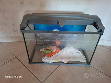 acquario tetra 60 lt e filtro