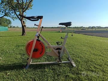 Spinney SCHWINN