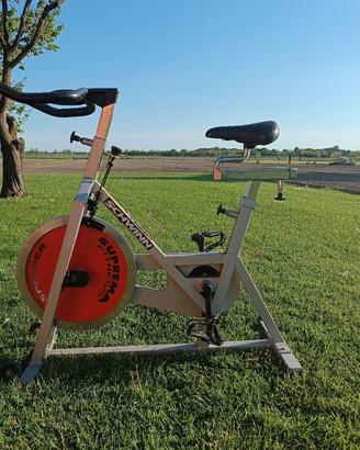 Spinney SCHWINN