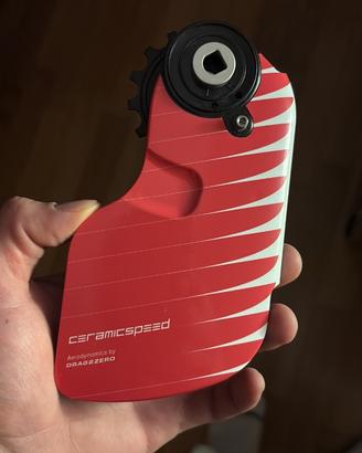 Ceramic speed gabbia sram
