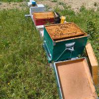 Materiale apicoltura