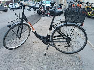 Muscolare bici Skilled Adele26 " -28"