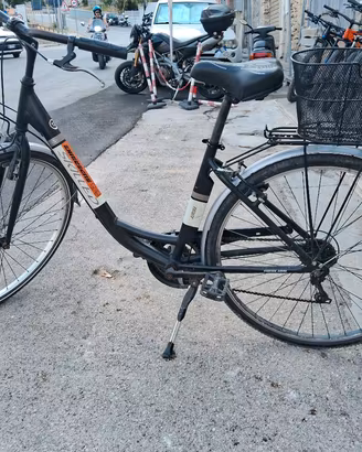 Muscolare bici Skilled Adele26 " -28"
