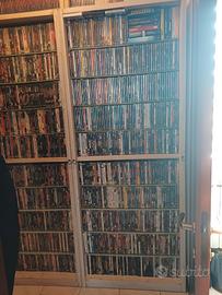 COLLEZIONE DVD