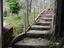 Immagine 7
