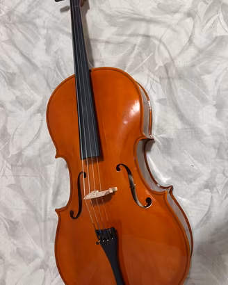 Violoncello + kit completo (custodia e accessori