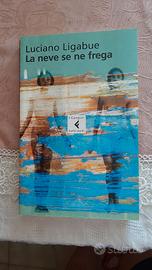 Libro L.Ligabue intitolato "La neve se ne frega"
