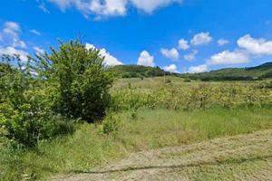 RGE 79/2024 Trib Pavia - LOTTO 2