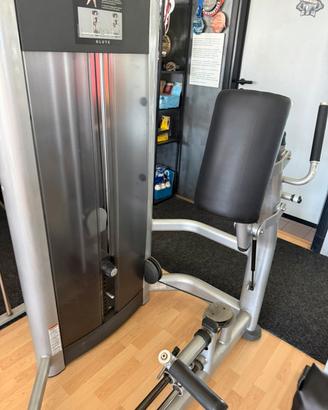 LIFE FITNESS GLUTE