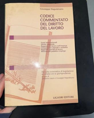 Codice Commentato del diritto del lavoro