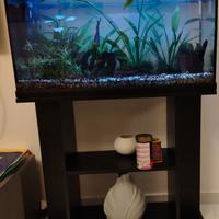 Acquario completo da 85 litri