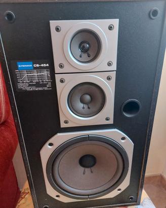 Cassa acustica Pioneer cs 454