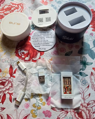 Amplificatore portatile Aune Yuki