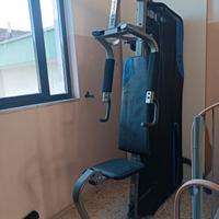 palestra 