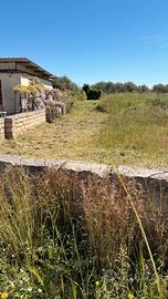 Terreno agricolo