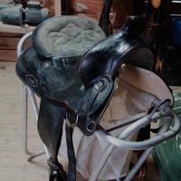 sella americana misura 16