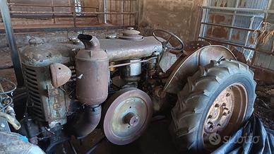 Landini