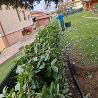 Giardinaggio&tutto fare?